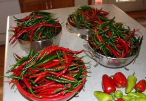 bowls of peppers