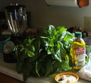 Basil in the Kitchen