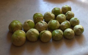 Ripe Tomatillos Fill The Husk