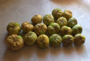One Pound of Tomatillos