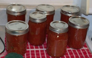 Chili Sauce For The Pantry